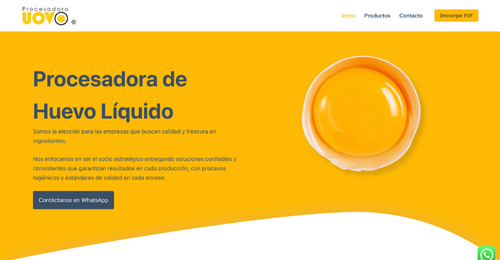 diseño de páginas web Queretaro